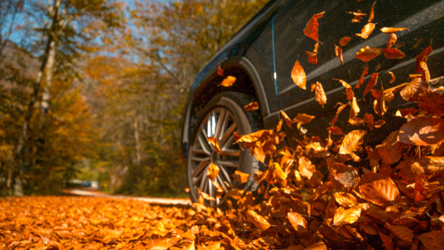 Autumn Touring | Rodney Road York Tires
